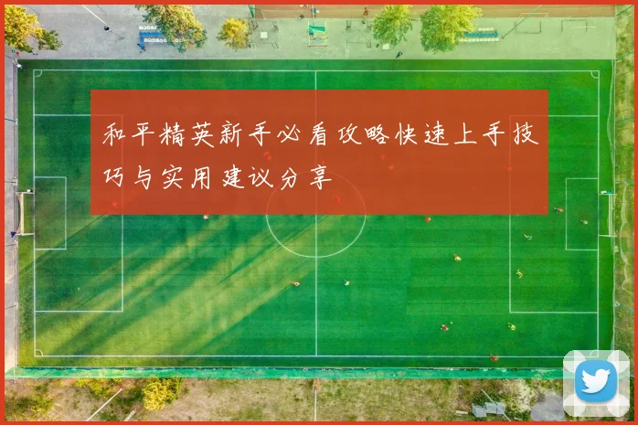 和平精英新手必看攻略快速上手技巧与实用建议分享